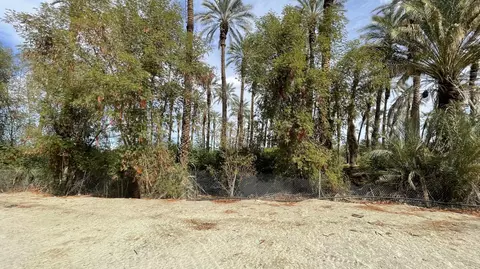 66820 Harrison St, Thermal, CA 92274 photo 7
