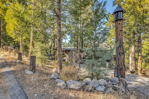 Exterior - 53150 Double View Dr, Idyllwild, CA 92549 photo 28 of 28
