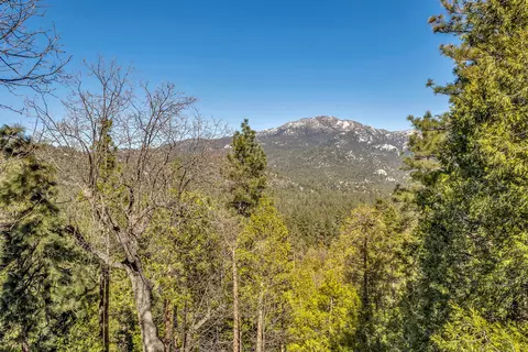 Other - 53150 Double View Dr, Idyllwild, CA 92549 photo 1 of 33