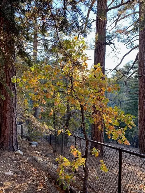 Exterior - 1498 Klamath Rd, Big Bear City, CA 92314 photo 7 of 8