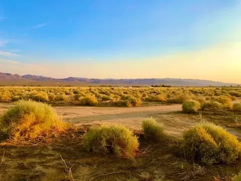 126 Regan Rd, Joshua Tree, CA 92252 photo 6