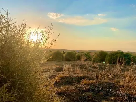 126 Regan Rd, Joshua Tree, CA 92252 photo 9