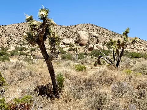 51001 Geronimo Trl, Pioneertown, CA 92268