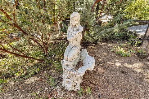 Exterior - 54985 S Circle Dr, Idyllwild, CA 92549 photo 19 of 19