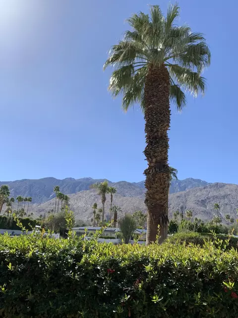 1705 Capri Cir, Palm Springs, CA 92264