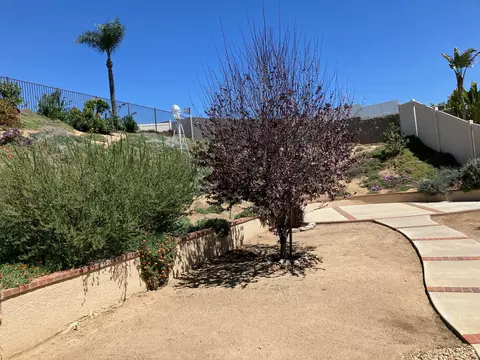Exterior - 29358 Silverfern Pl, Highland, CA 92346 photo 27 of 27