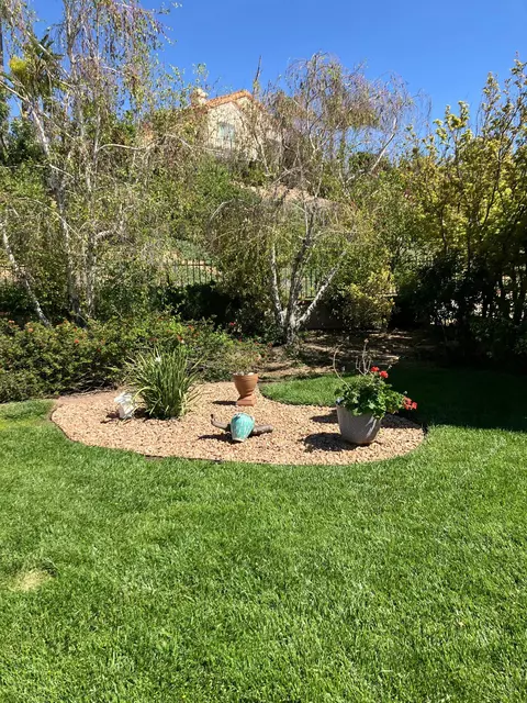 Exterior - 29358 Silverfern Pl, Highland, CA 92346 photo 12 of 27