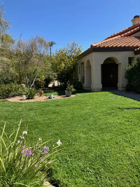 Exterior - 29358 Silverfern Pl, Highland, CA 92346 photo 13 of 27