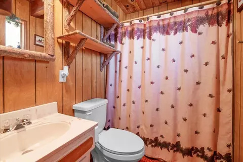 1145 Mitchell Ln, Big Bear City, CA 92314 photo 11