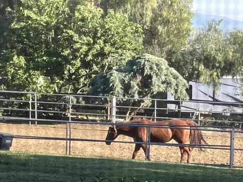 Other - 38540 38540 Alva Dr, Cherry Valley, CA 92223 photo 8 of 11