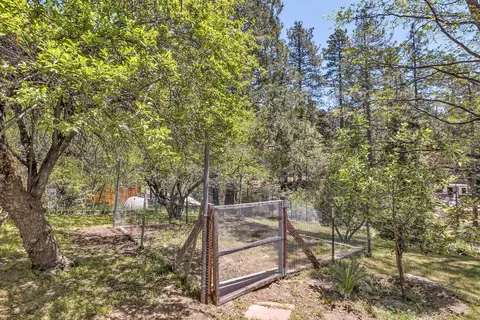 Exterior - 54703 Pine Crest Ave, Idyllwild, CA 92549 photo 11 of 16