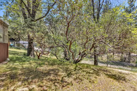 Exterior - 54703 Pine Crest Ave, Idyllwild, CA 92549 photo 13 of 16