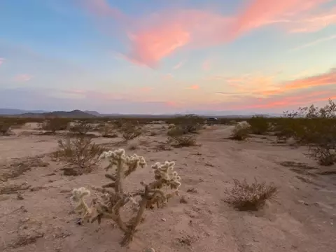 64455 Mars St, Joshua Tree, CA 92252