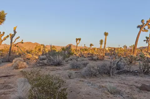 Exterior - 6785 Saddleback Rd, Joshua Tree, CA 92252 photo 23 of 24