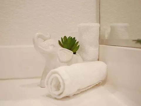 Bath - 82550 Delano Dr, Indio, CA 92201 photo 6 of 7