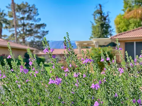 Exterior - 82550 Delano Dr, Indio, CA 92201 photo 11 of 11