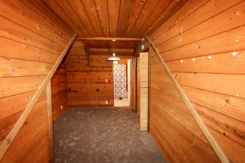 46219 Selenium Ln, Big Bear City, CA 92314 photo 22