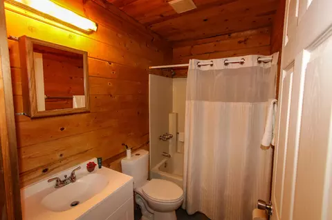46219 Selenium Ln, Big Bear City, CA 92314 photo 12