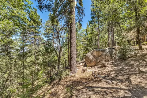 Exterior - 52646 Chickadee Ln, Idyllwild, CA 92549 photo 10 of 20