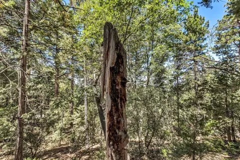 Other - 52646 Chickadee Ln, Idyllwild, CA 92549 photo 11 of 17