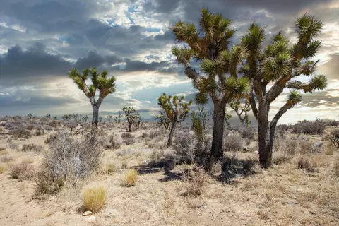 112 Angel View Rd, Pioneertown, CA 92268