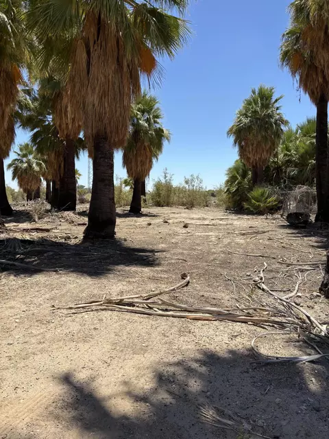 51 W 4th St, Niland, CA 92257