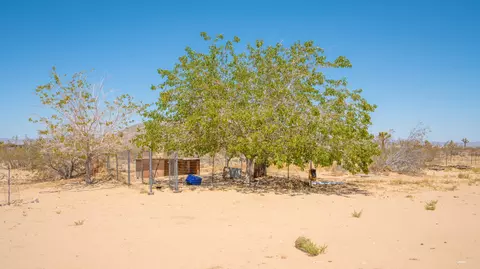Exterior - 58522 Reche Rd, Landers, CA 92285 photo 5 of 8