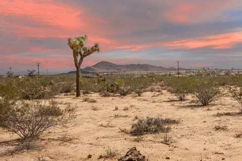 401 Stonehill Ave, Joshua Tree, CA 92252
