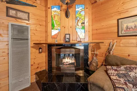 Other - 817 Maple Ln, Sugarloaf, CA 92386 photo 2 of 4