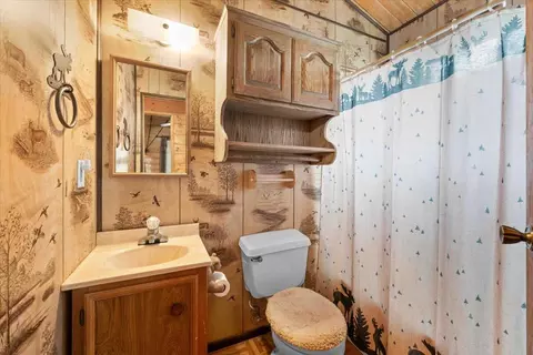 Bath - 817 Maple Ln, Sugarloaf, CA 92386 photo 1 of 1