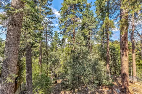 Exterior - 52680 Pine Ridge Rd, Idyllwild, CA 92549 photo 10 of 22