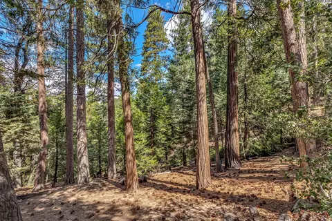 Exterior - 52680 Pine Ridge Rd, Idyllwild, CA 92549 photo 7 of 22