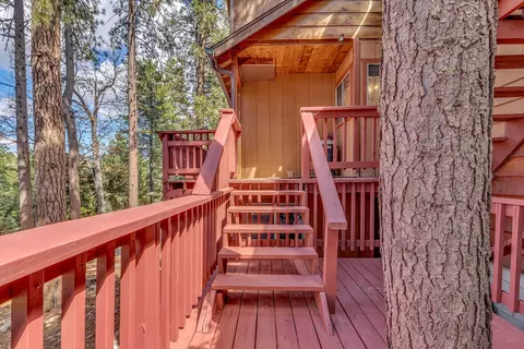 Exterior - 52680 Pine Ridge Rd, Idyllwild, CA 92549 photo 20 of 22