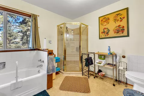 Bath - 52680 Pine Ridge Rd, Idyllwild, CA 92549 photo 4 of 7
