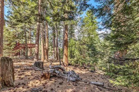 Exterior - 52680 Pine Ridge Rd, Idyllwild, CA 92549 photo 6 of 22