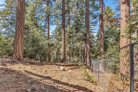 Exterior - 52680 Pine Ridge Rd, Idyllwild, CA 92549 photo 12 of 22
