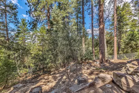 Exterior - 52680 Pine Ridge Rd, Idyllwild, CA 92549 photo 11 of 22