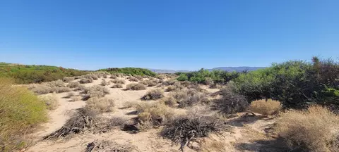 1655 La Buena Tierra Ave, Twentynine Palms, CA 92277