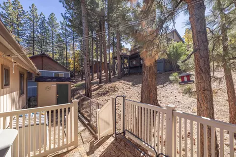 Exterior - 1411 Klamath Rd, Big Bear City, CA 92314 photo 6 of 9
