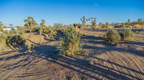56606 Skyline Ranch Rd, Yucca Valley, CA 92284 photo 15