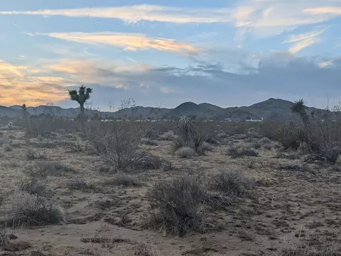 476 Ripon Ave, Yucca Valley, CA 92284