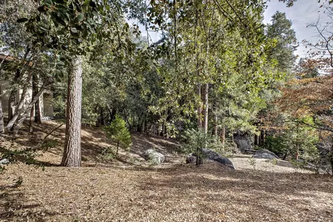 55283 Pine Crest Avenue Ave, Idyllwild, CA 92549