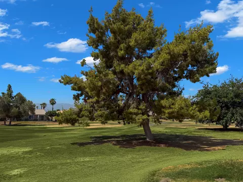 Other - 82515 Grant Dr, Indio, CA 92201 photo 4 of 7