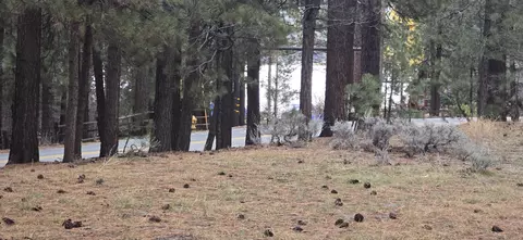 39731 Lakeview, Big Bear Lake, CA 92315