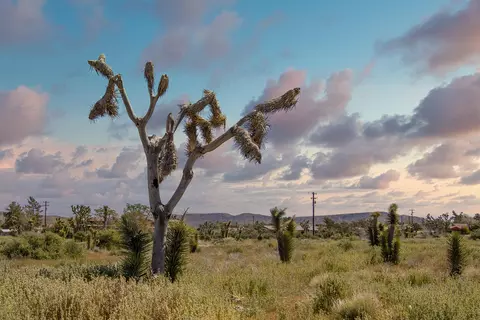 129 Annie Oakley, Pioneertown, CA 92268