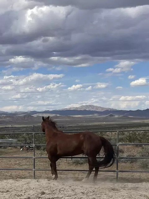 7077 Camp Rock Rd, Lucerne Valley, CA 92356