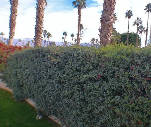 84136 Ave 44206, Indio, CA 92203 photo 8