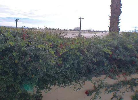 84136 Ave 44206, Indio, CA 92203 photo 9