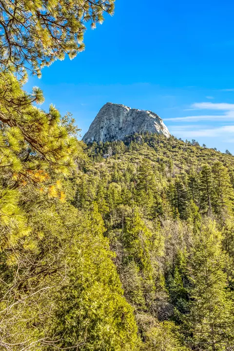 Other - 24700 Forest Dr, Idyllwild, CA 92549 photo 16 of 21