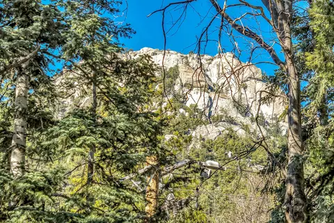 Other - 24700 Forest Dr, Idyllwild, CA 92549 photo 7 of 21